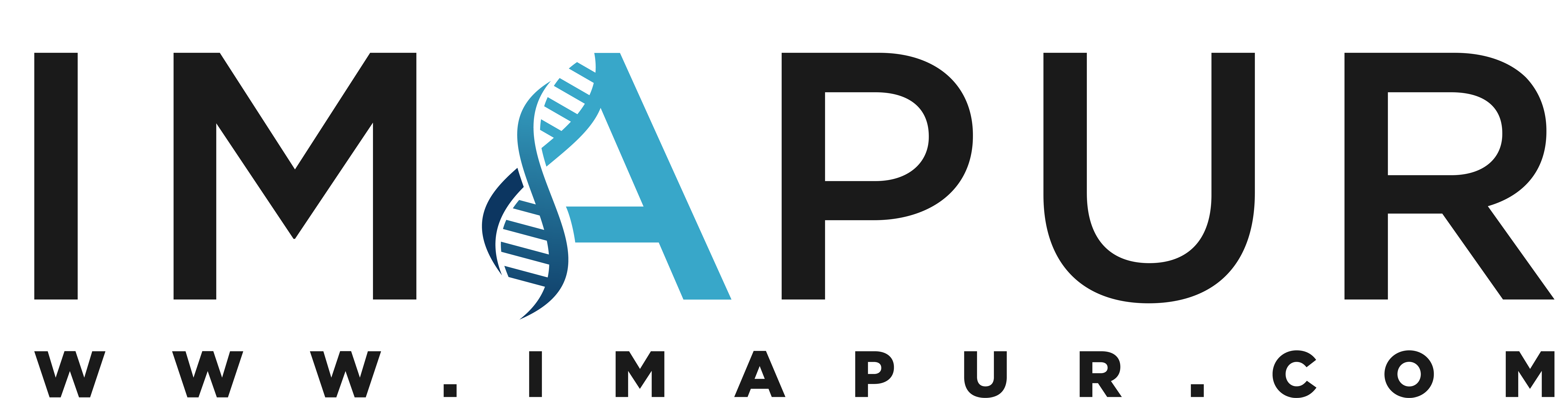 Logo IMAPUR